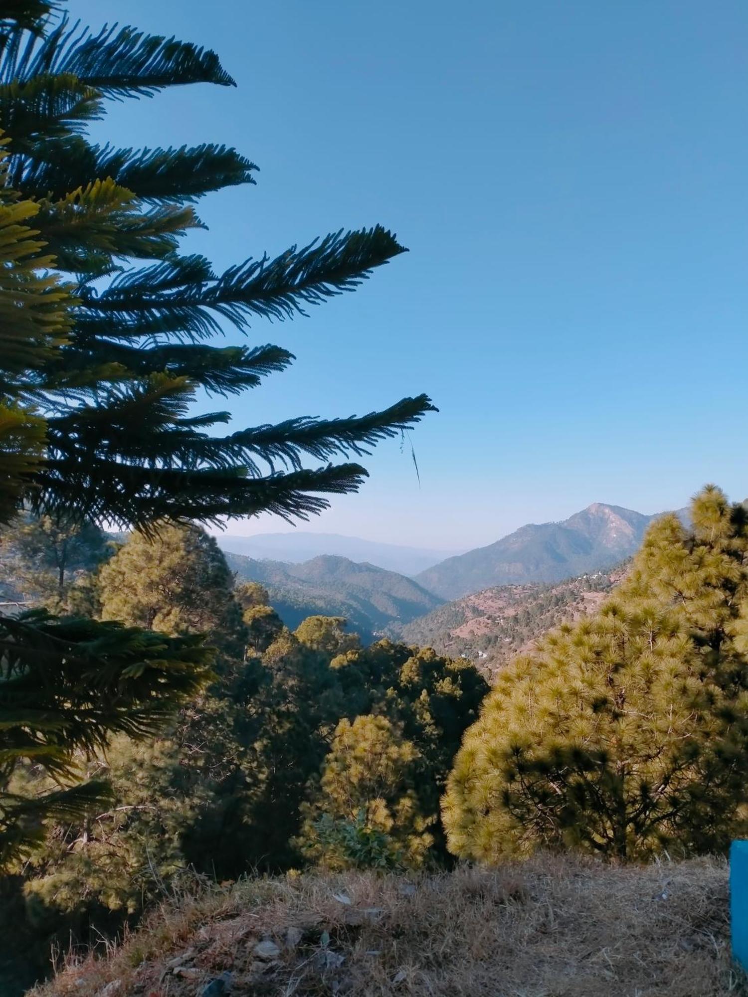 Shree Home Stay Dwarahat Exterior foto